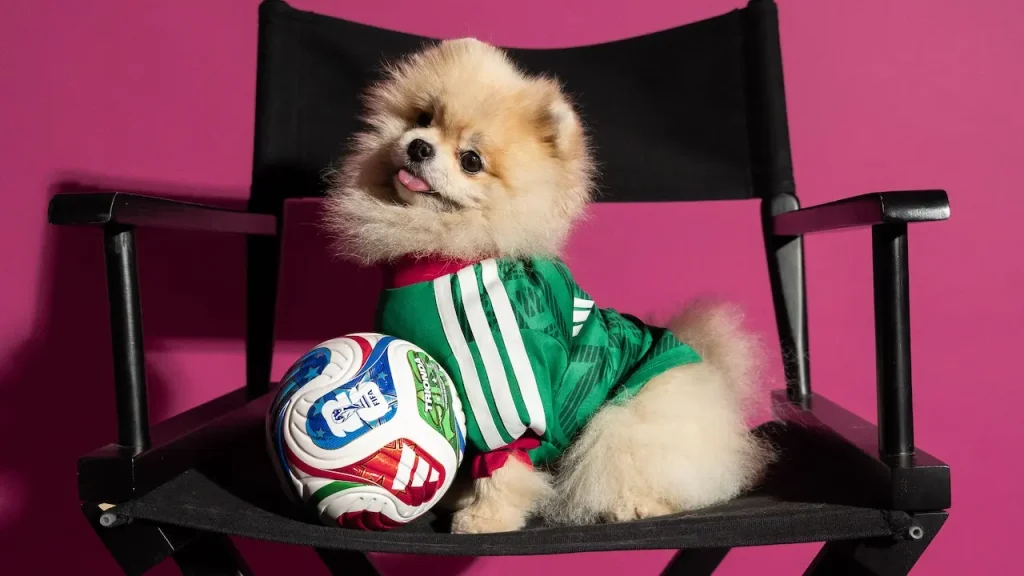 adidas jerseys mexico mascota