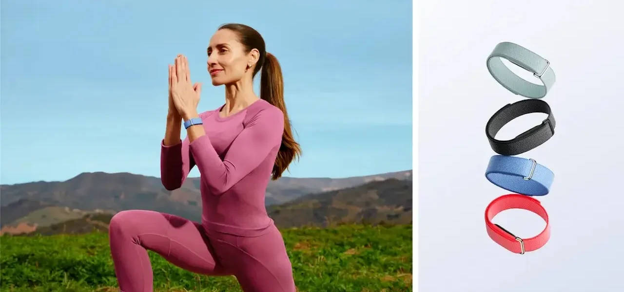 Fitbit Air