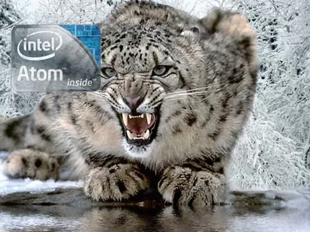 atom snowleopard