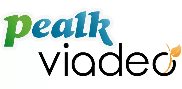Viadeo-Pealk