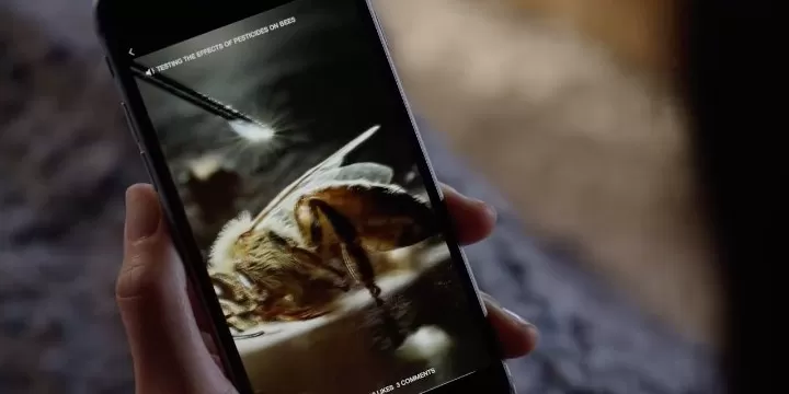 Articulos Instantaneos Facebook