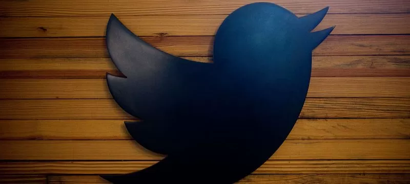 Twitter Maria Teresa Arnal