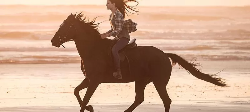 Belleza Negra Disney Plus